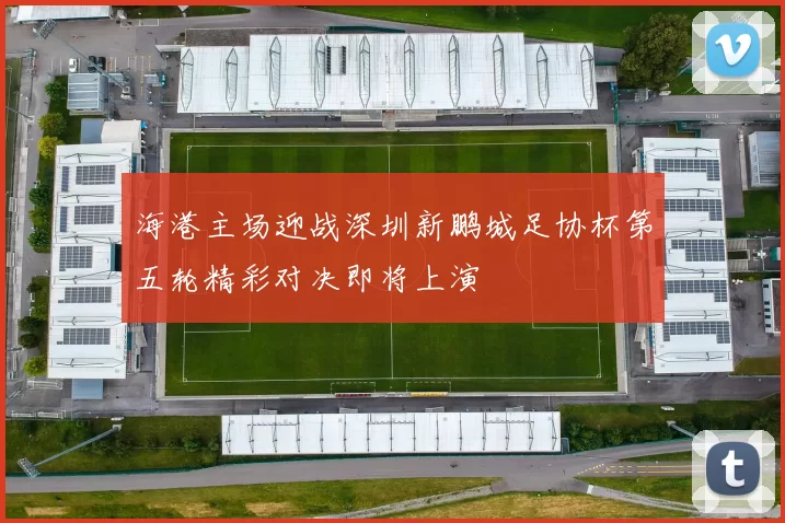 海港主场迎战深圳新鹏城足协杯第五轮精彩对决即将上演